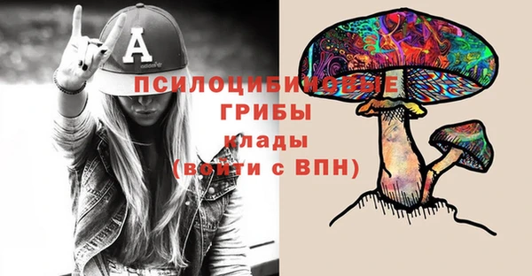дмт Алексеевка