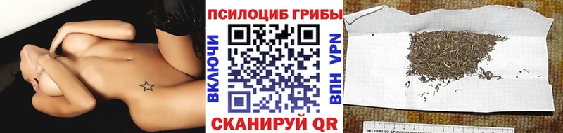 Псилоцибиновые грибы мицелий  mega сайт  Пойковский 