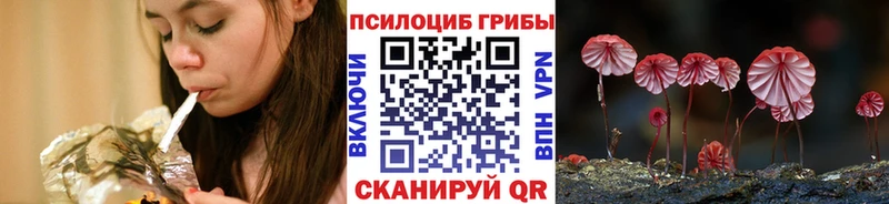 Псилоцибиновые грибы мицелий Пойковский